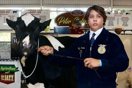 Annual Kings Fair had plenty to see and to from June 15-18 Lemoore's Ryder Mendes leads his Holstein into the Kings Fair auction.